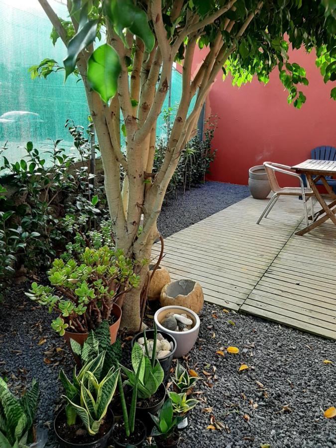 Casa Das Yucas - Patio Apartment Capelas Eksteriør billede