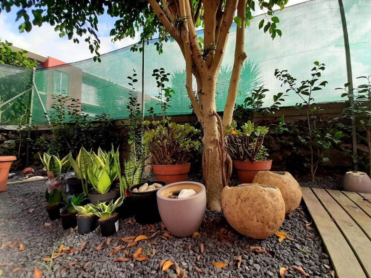 Casa Das Yucas - Patio Apartment Capelas Eksteriør billede