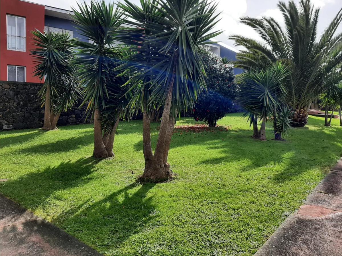 Casa Das Yucas - Patio Apartment Capelas Eksteriør billede